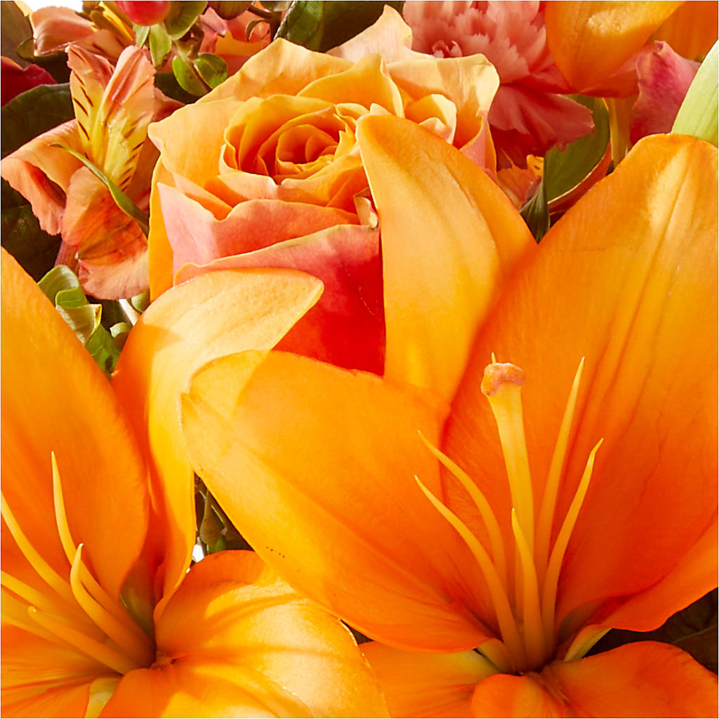 Afternoon Light Bouquet –  Grand Flowers/irish Rose, Novi MI