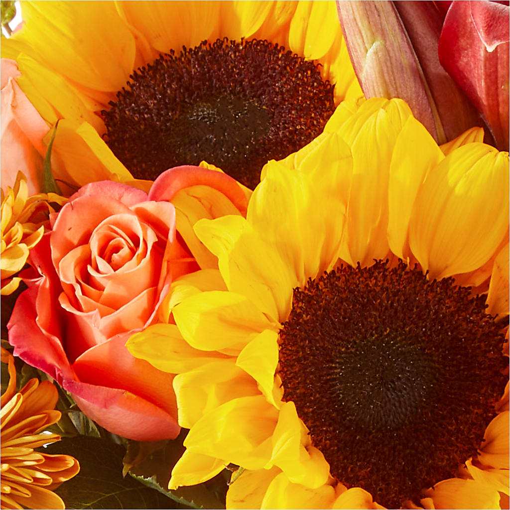 Acorn Lane Bouquet –  Grand Flowers/irish Rose, Novi MI