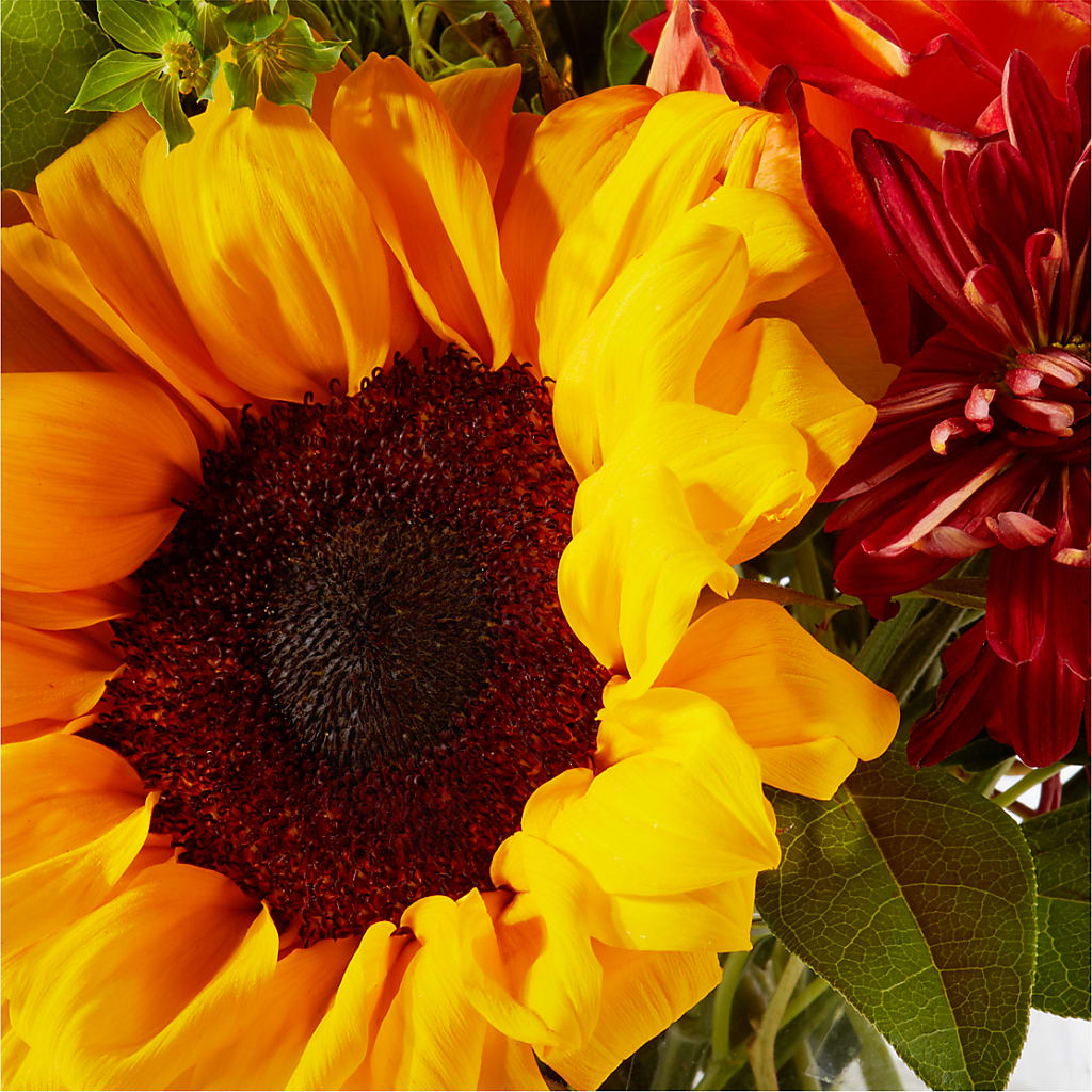 Harvest Festival Bouquet –  Grand Flowers/irish Rose, Novi MI