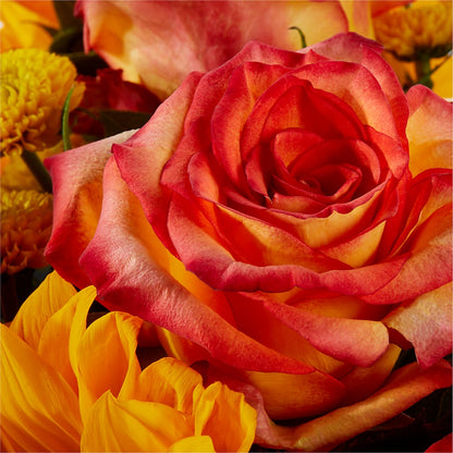 Picnic in the Park Bouquet –  Grand Flowers/irish Rose, Novi MI