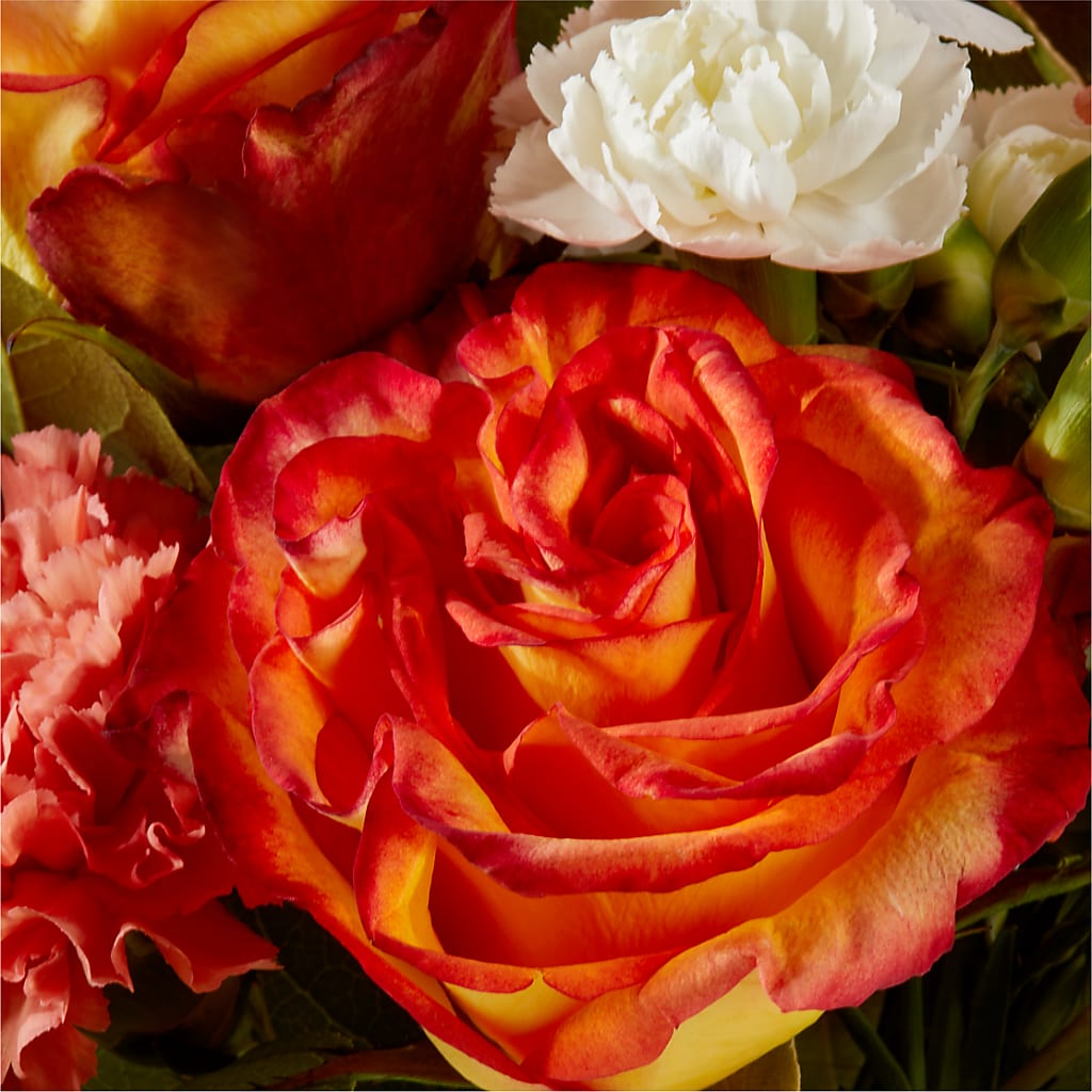 Apricot Glow Bouquet –  Grand Flowers/irish Rose, Novi MI