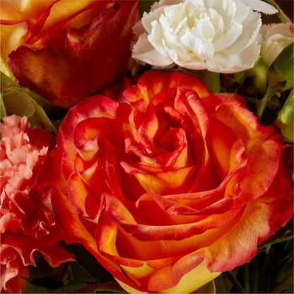 Apricot Glow Bouquet –  Grand Flowers/irish Rose, Novi MI