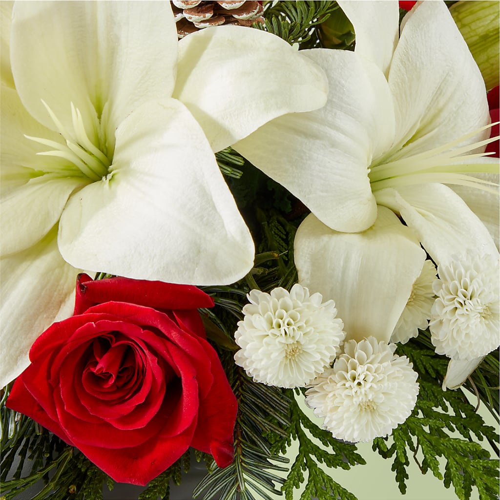 Seasonal Festivities Centerpiece –  Grand Flowers/irish Rose, Novi MI