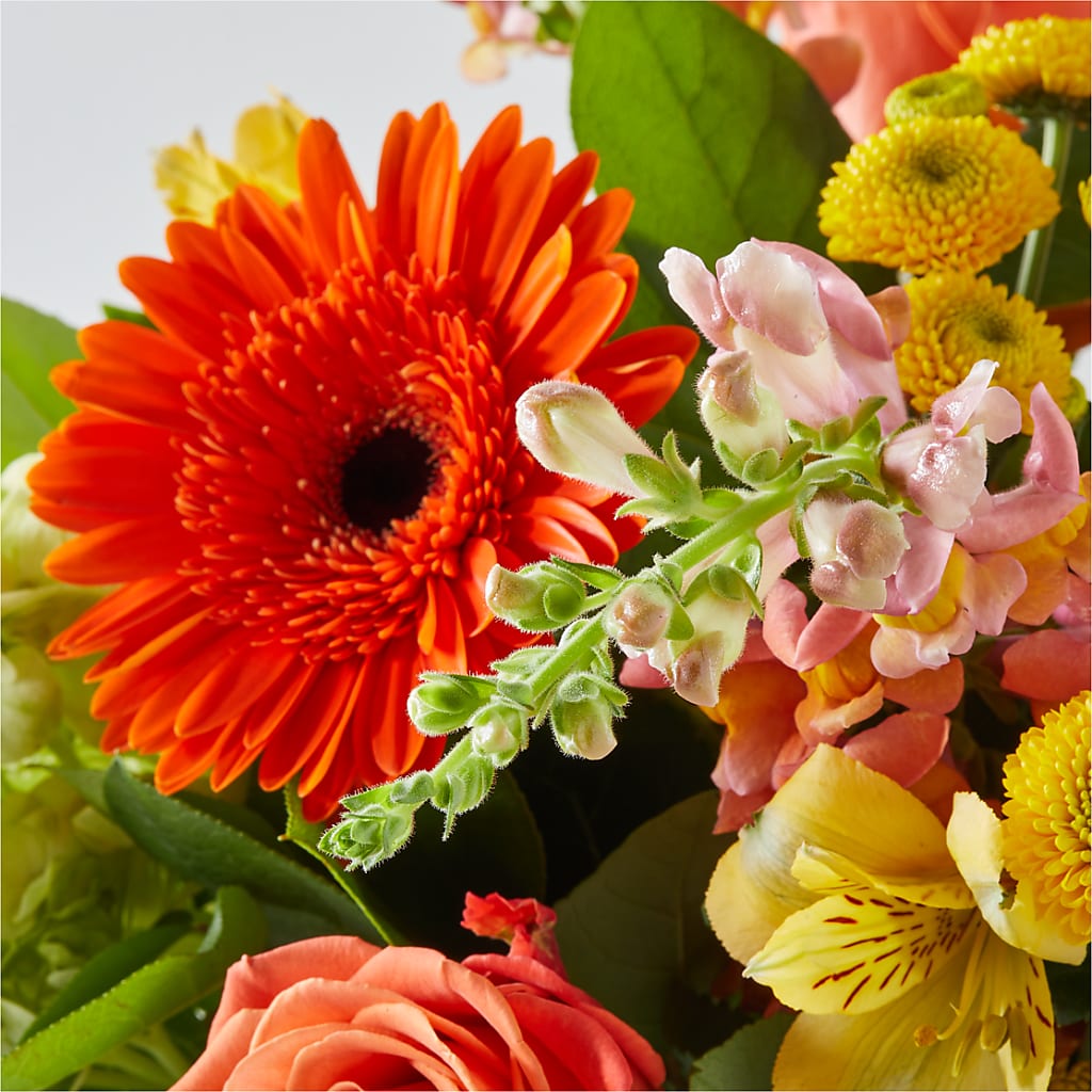 Autumn Sunshine Bouquet –  Grand Flowers/irish Rose, Novi MI