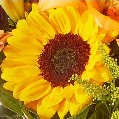 Seasons Change Bouquet –  Grand Flowers/irish Rose, Novi MI