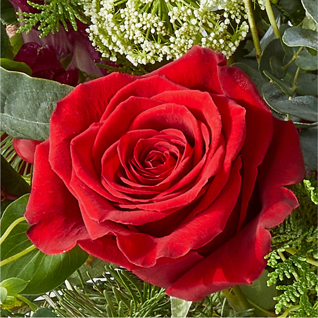 Cranberry Fizz Bouquet –  Grand Flowers/irish Rose, Novi MI