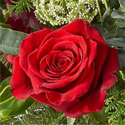 Cranberry Fizz Bouquet –  Grand Flowers/irish Rose, Novi MI
