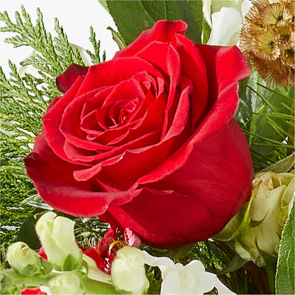 Deck the Halls Bouquet –  Grand Flowers/irish Rose, Novi MI