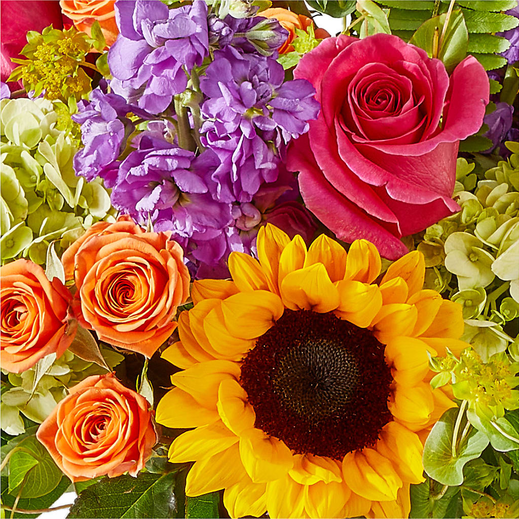 Vibrant Greetings Bouquet –  Grand Flowers/irish Rose, Novi MI
