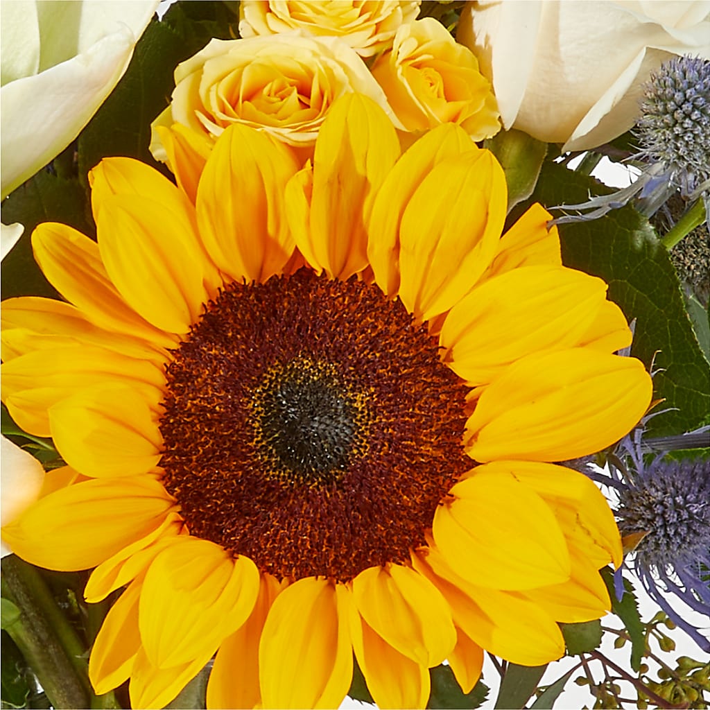 Wonderfully Sunny Bouquet –  Grand Flowers/irish Rose, Novi MI