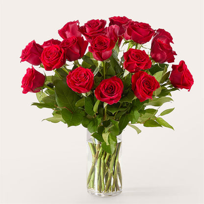 The One Red Rose Bouquet –  Grand Flowers/irish Rose, Novi MI