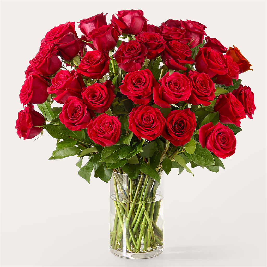 The One Red Rose Bouquet –  Grand Flowers/irish Rose, Novi MI