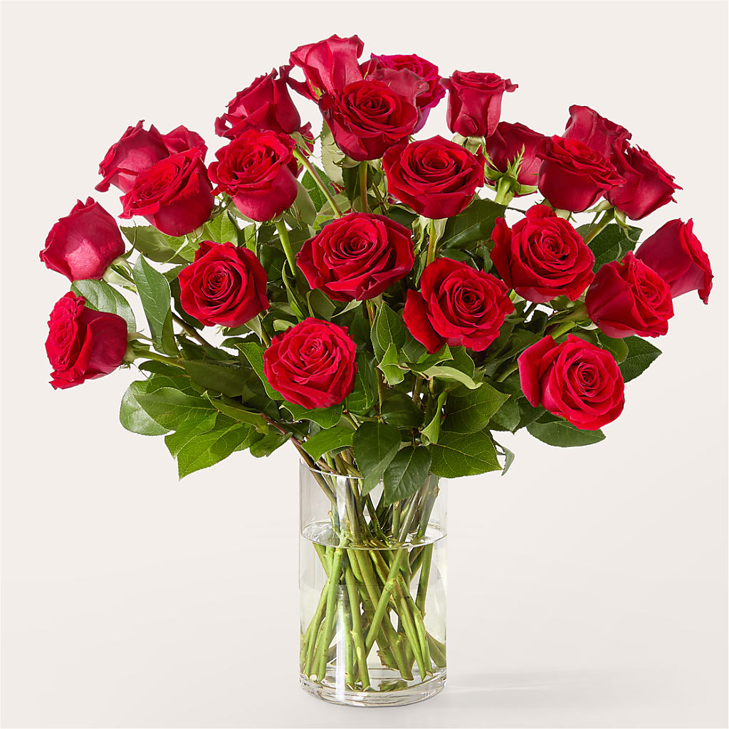The One Red Rose Bouquet –  Grand Flowers/irish Rose, Novi MI