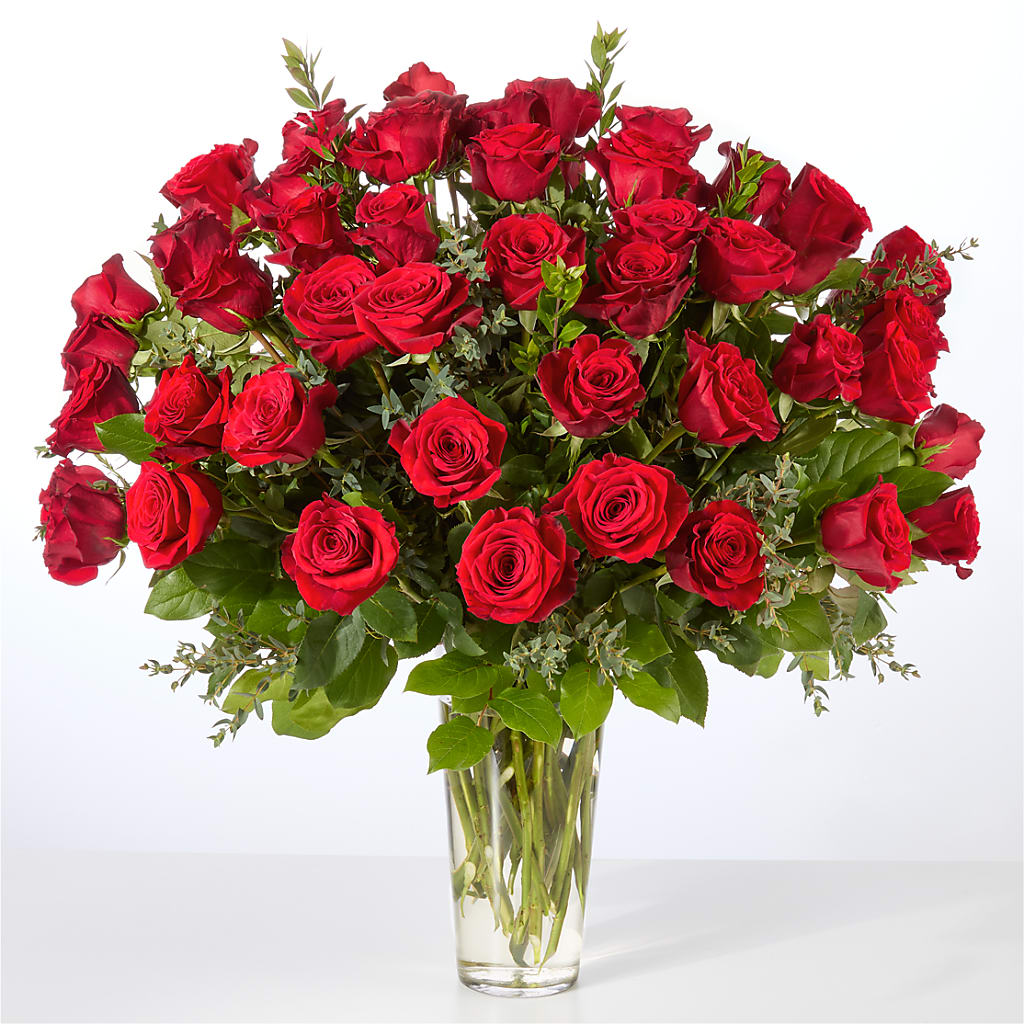 Forever Yours Fifty Stem Red Rose Bouquet –  Grand Flowers/irish Rose, Novi MI
