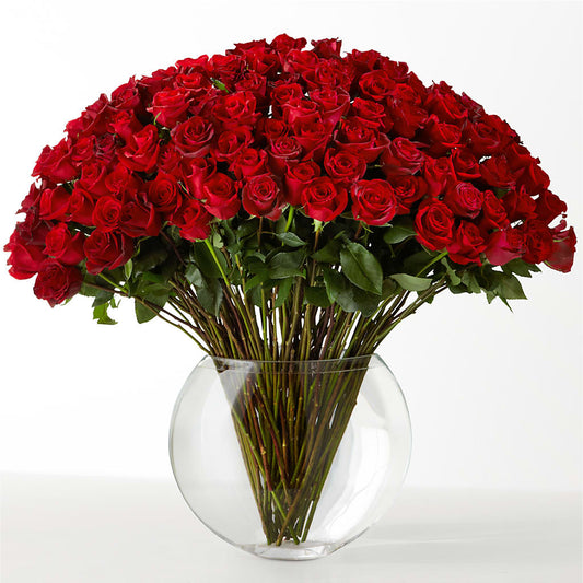 The Idealist –  Grand Flowers/irish Rose, Novi MI