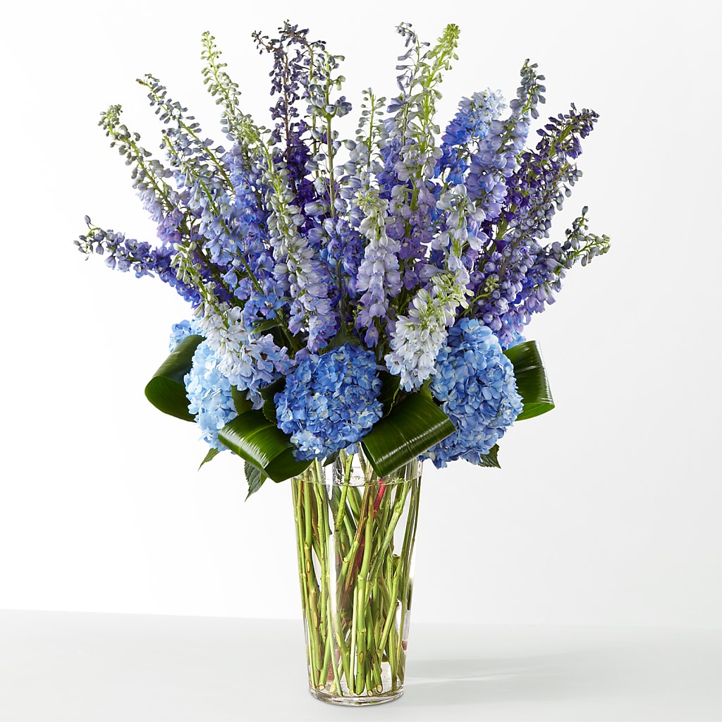The Editorial –  Grand Flowers/irish Rose, Novi MI