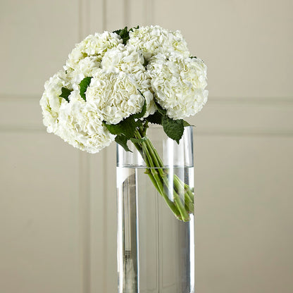 White Hydrangea Hand-Tied Bouquet –  Grand Flowers/irish Rose, Novi MI