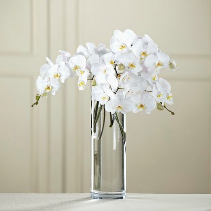 White Phalaenopsis Bouquet –  Grand Flowers/irish Rose, Novi MI